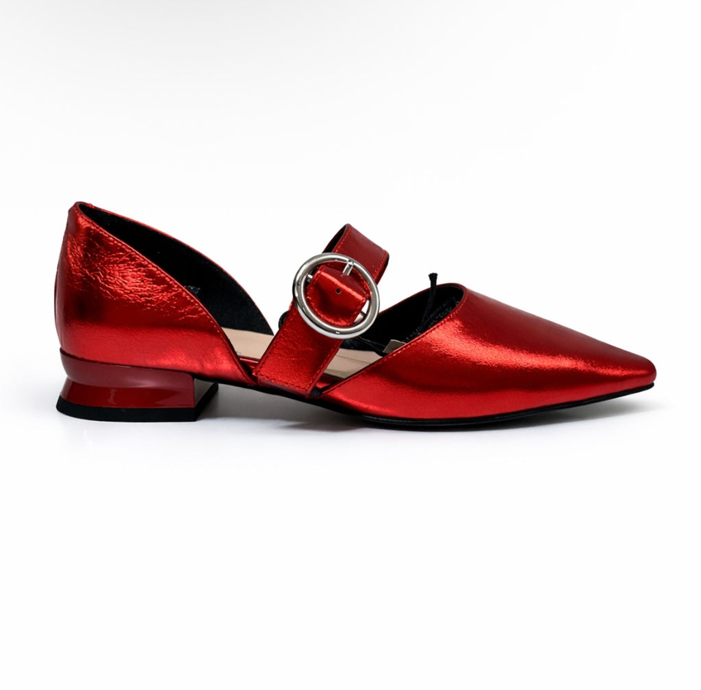 Zapatos rojo